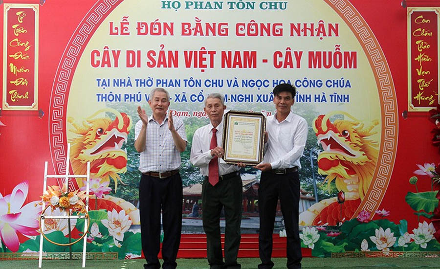 Cây[-]đầu[-]tiên[-]của[-]huyện[-]Nghi[-]Xuân[-]được[-]công[-]nhận[-]là[-]Cây[-]Di[-]sản[-]Việt[-]Nam